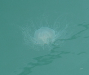 f0166694_18572940.jpg