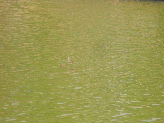 b0198195_145450100.jpg