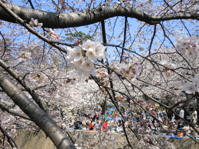 b0044296_19314664.jpg