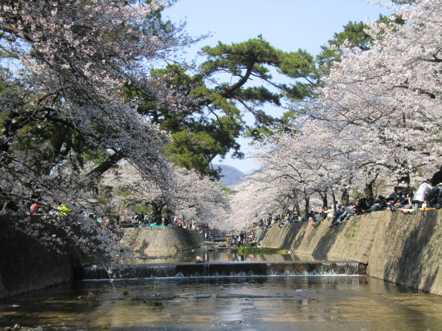b0044296_19324879.jpg