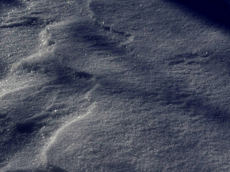 雪模様_e0120896_7105096.jpg