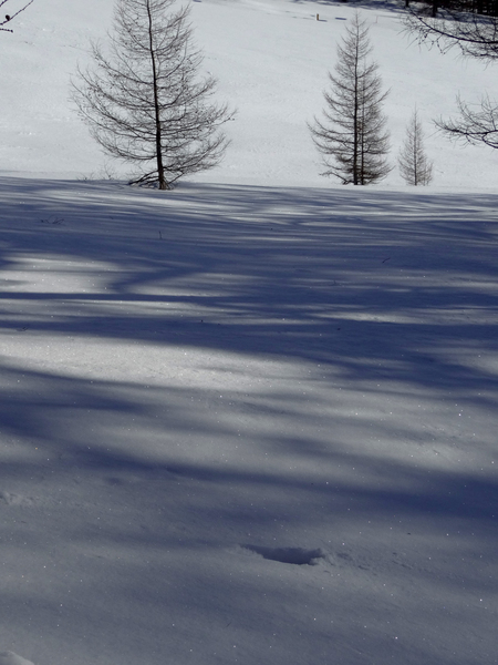 雪模様_e0120896_7112086.jpg