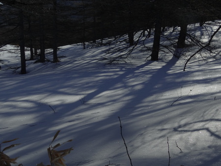 雪模様_e0120896_713966.jpg