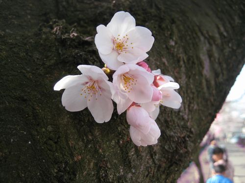 f0201297_14481036.jpg
