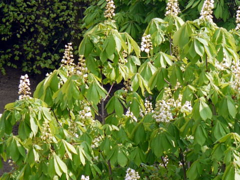 c0090198_0402987.jpg