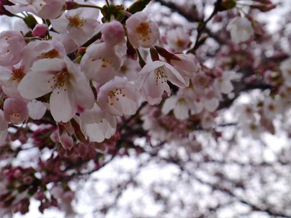 b0220499_063621.jpg