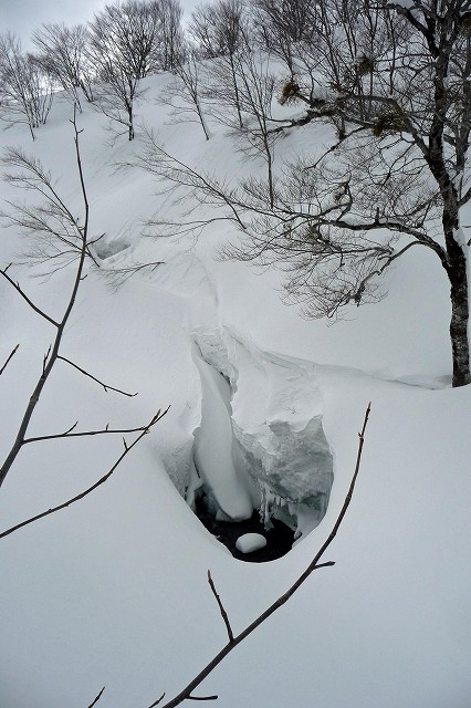 重雪ラッセルも楽し、湯殿山。_e0137200_20442916.jpg