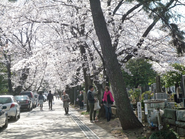 最高のお花見日和_d0057701_1163373.jpg