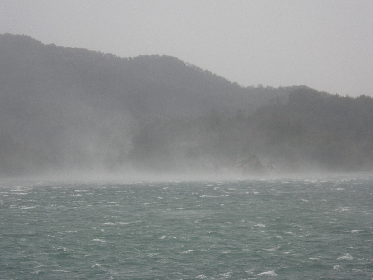 e0205502_22382614.jpg