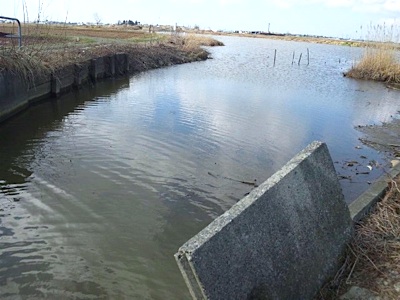 f0082402_22564753.jpg