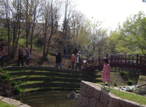 今年もアルベール・カーン美術館、日本庭園で花見_a0060003_1422513.jpg