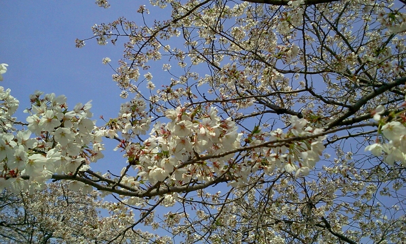 キリンビアファーム福岡_c0212604_6464811.jpg