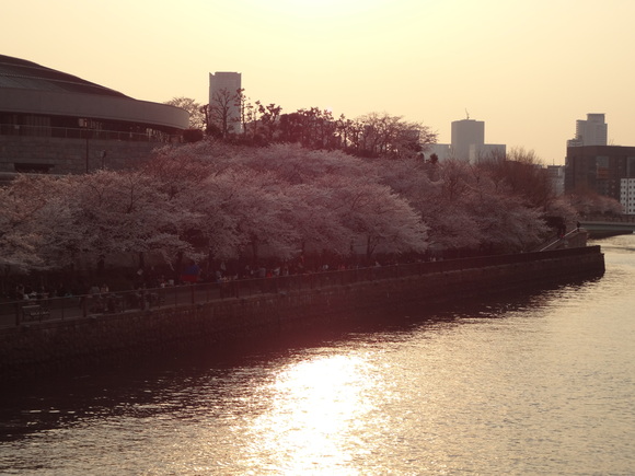 a0243305_20525612.jpg