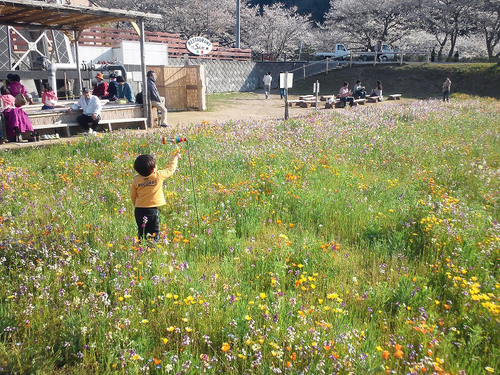 松崎_d0073005_18501555.jpg