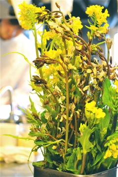 増田さんの春野菜到着_c0130206_1712444.jpg