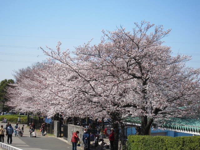 a0227507_213738.jpg