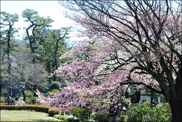 花まつり　＆　桜散策_c0051107_0481250.jpg