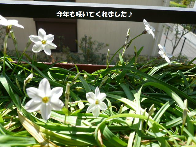 e0094407_21122197.jpg