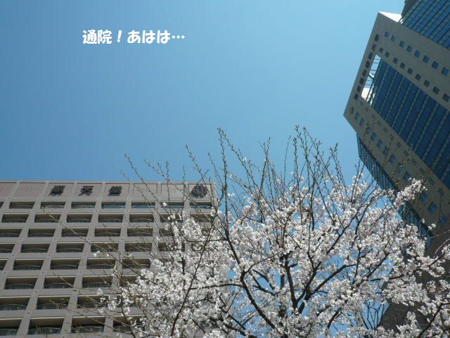 e0094407_21352114.jpg