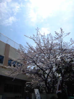 c0050708_035486.jpg