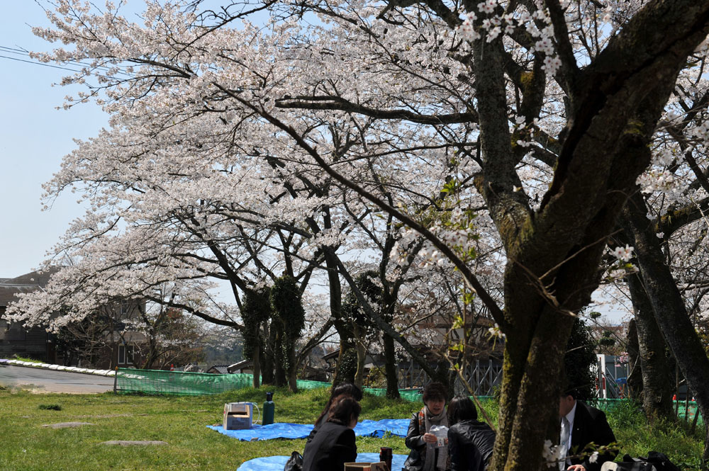 a0042310_1002275.jpg