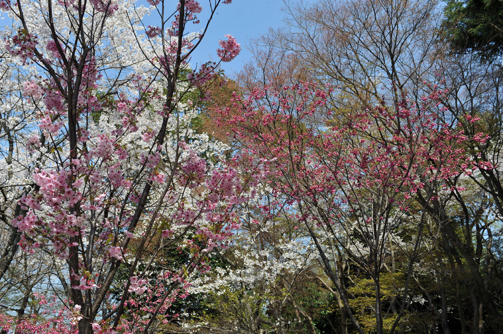 a0042310_101089.jpg