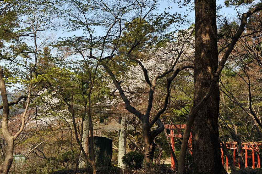 a0042310_10112581.jpg