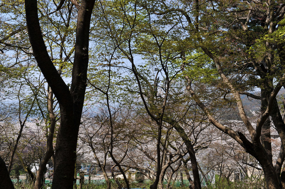 a0042310_10113658.jpg