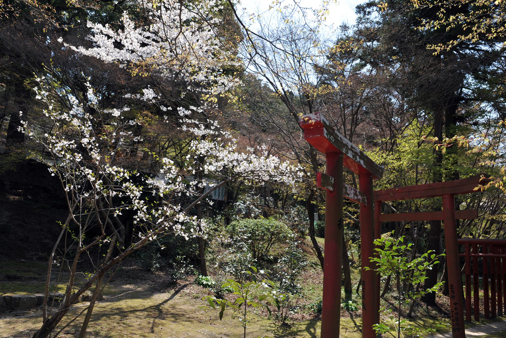 a0042310_1013199.jpg