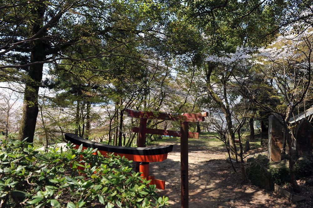 a0042310_1015958.jpg