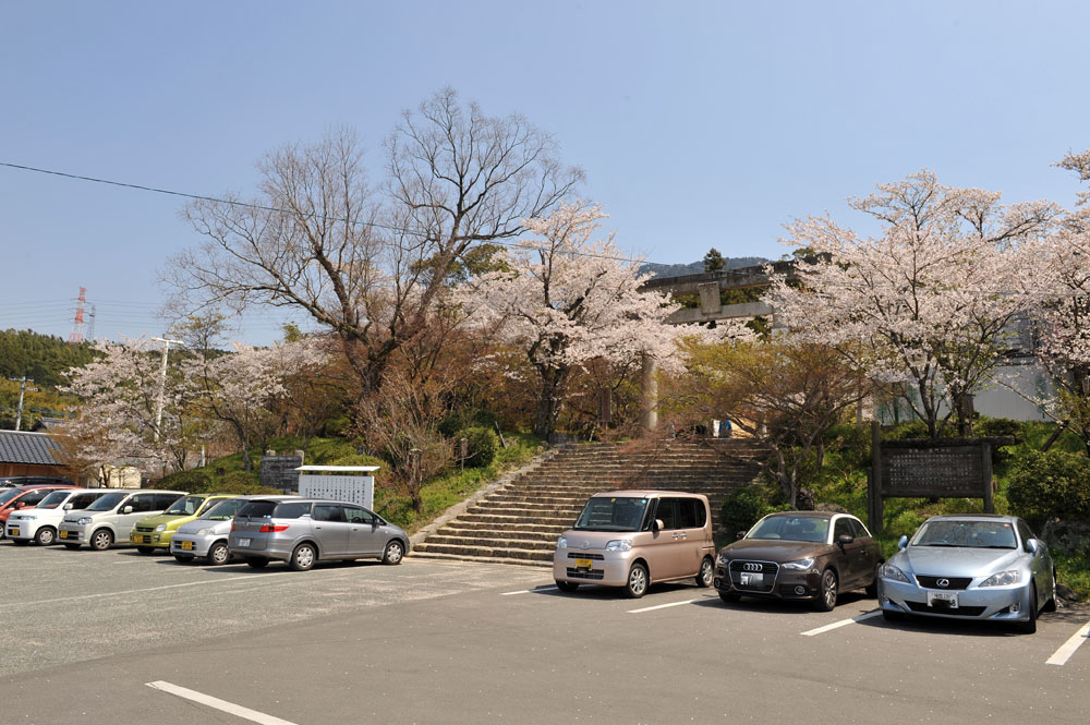 太宰府の桜2011_a0042310_134297.jpg