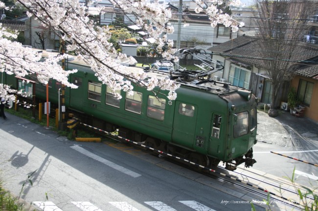 桜とともに・・・_f0129510_9511189.jpg