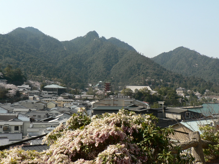 f0219710_7273099.jpg