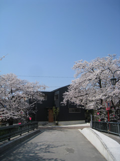 桜並木を眺める小さな家_b0179213_1648502.jpg