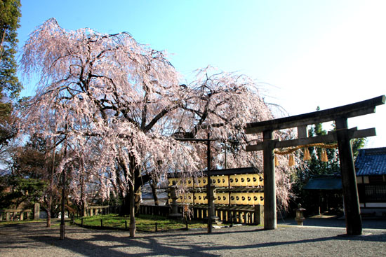 大石神社_e0048413_213668.jpg