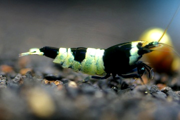 e0254814_01505.jpg