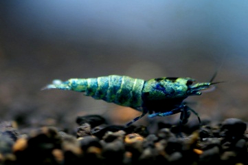 e0254814_022523.jpg