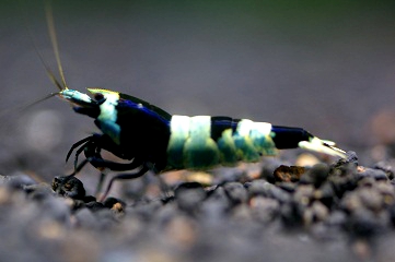 e0254814_02577.jpg