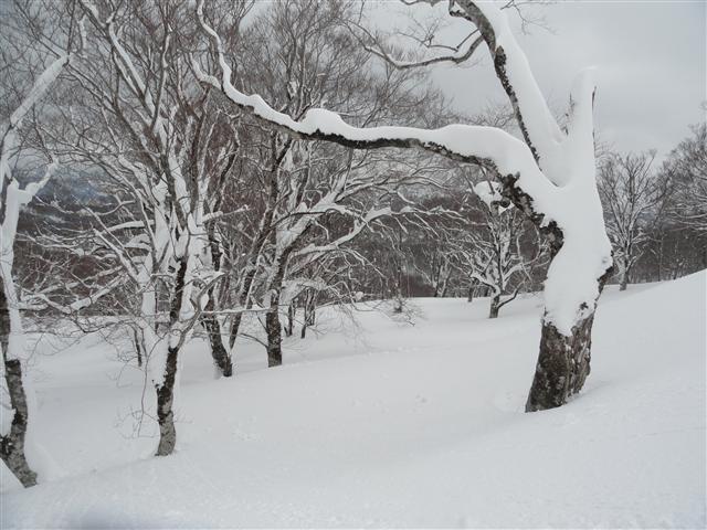 a0127015_20553036.jpg