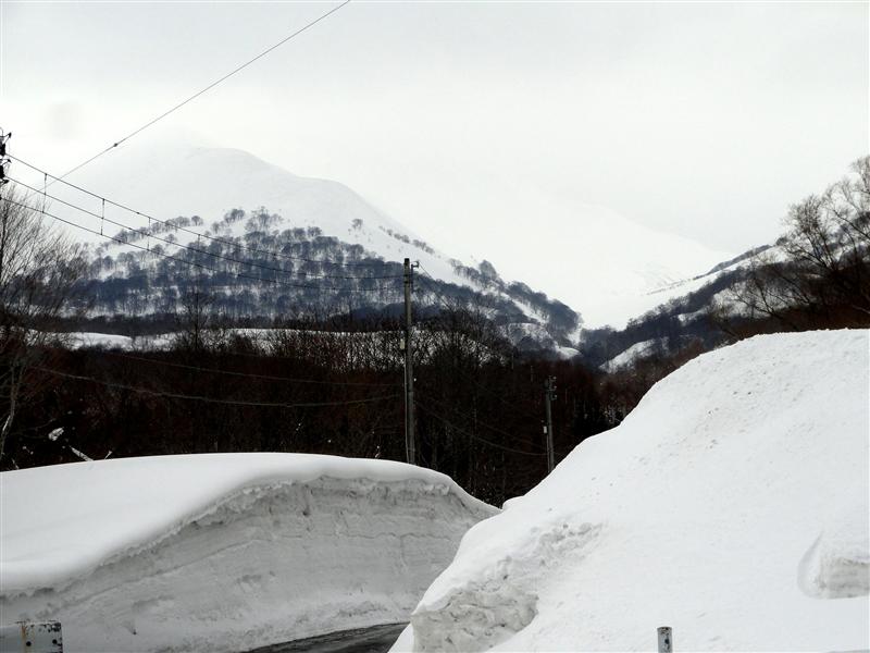 a0127015_2103619.jpg