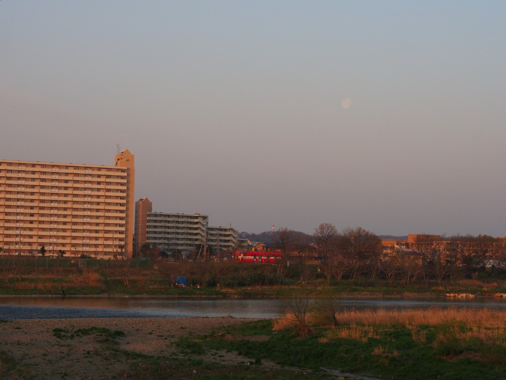 d0192516_1447982.jpg