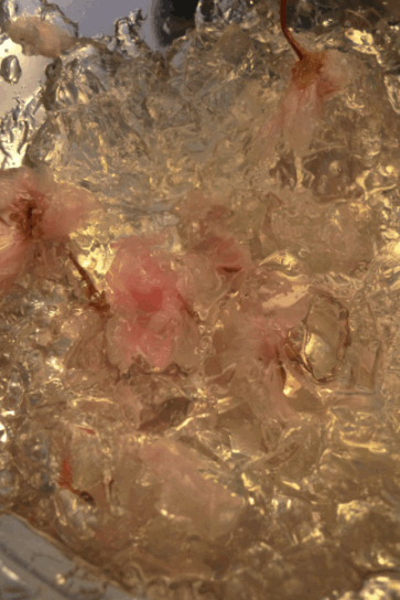 e0157816_9285141.gif