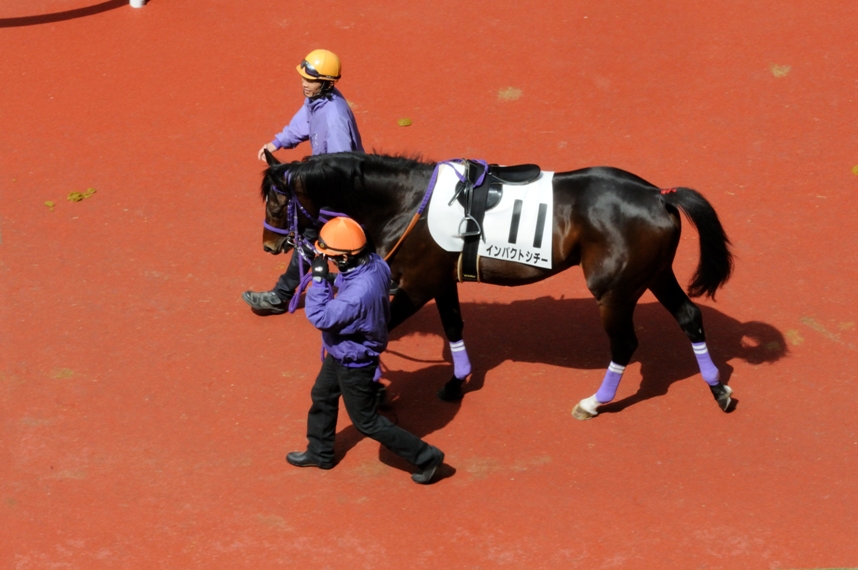 f0053218_022011.jpg