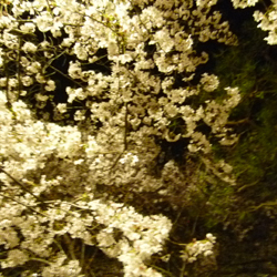 b0056423_11224460.jpg