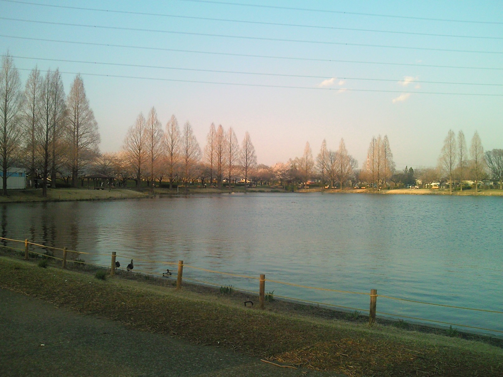 e0114823_2152914.jpg