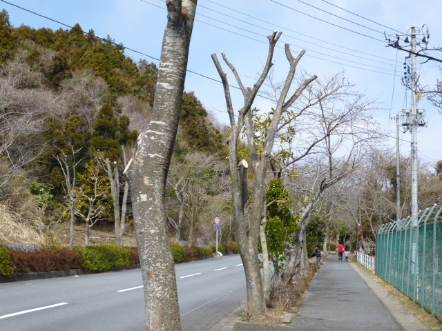 c0236224_1555211.jpg