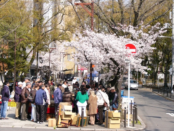 いくたま　蚤の市　　生國魂神社_a0216825_2331207.jpg