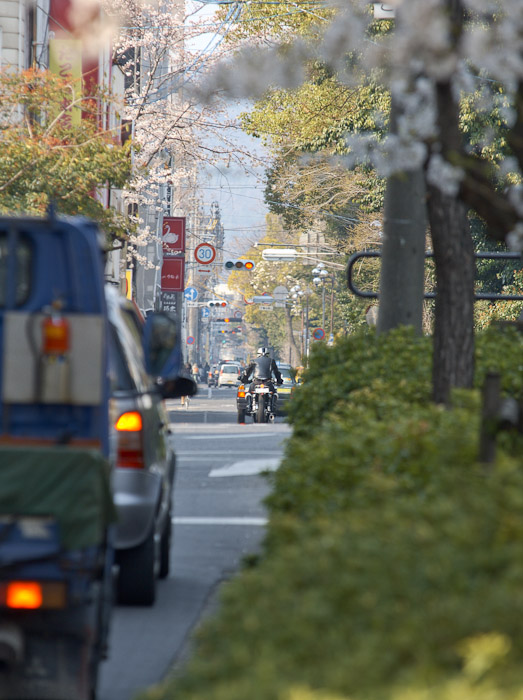 桜2012　枝川緑道公園_c0021726_19501668.jpg