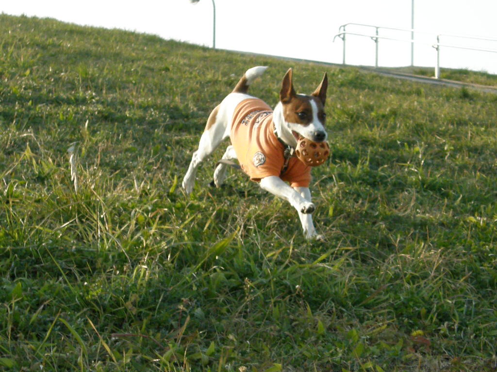 e0204927_158243.jpg