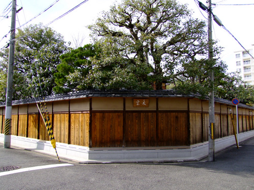 a0000029_84387.jpg